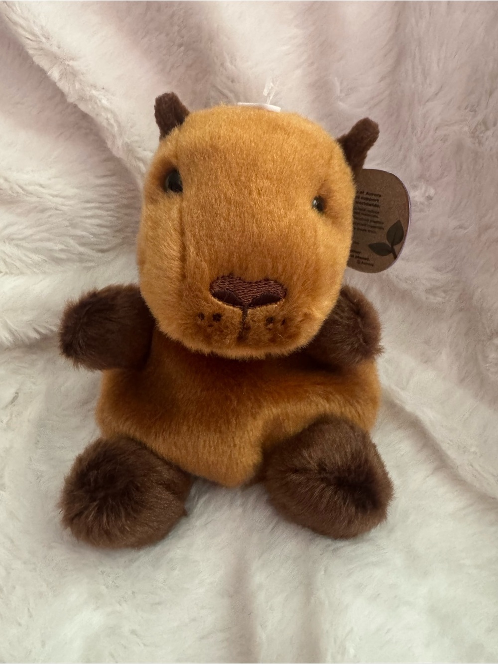 Brown Plush Sid Capybara Palm Pals Stuffed Animal - Soft Kids Toy